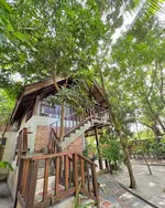 Panji Panji Tropical Wooden Home Langkawi featuring a charming elevated wooden chalet surrounded by lush tropical rainforest, mature trees, rustic brick accents, and a peaceful garden setting.