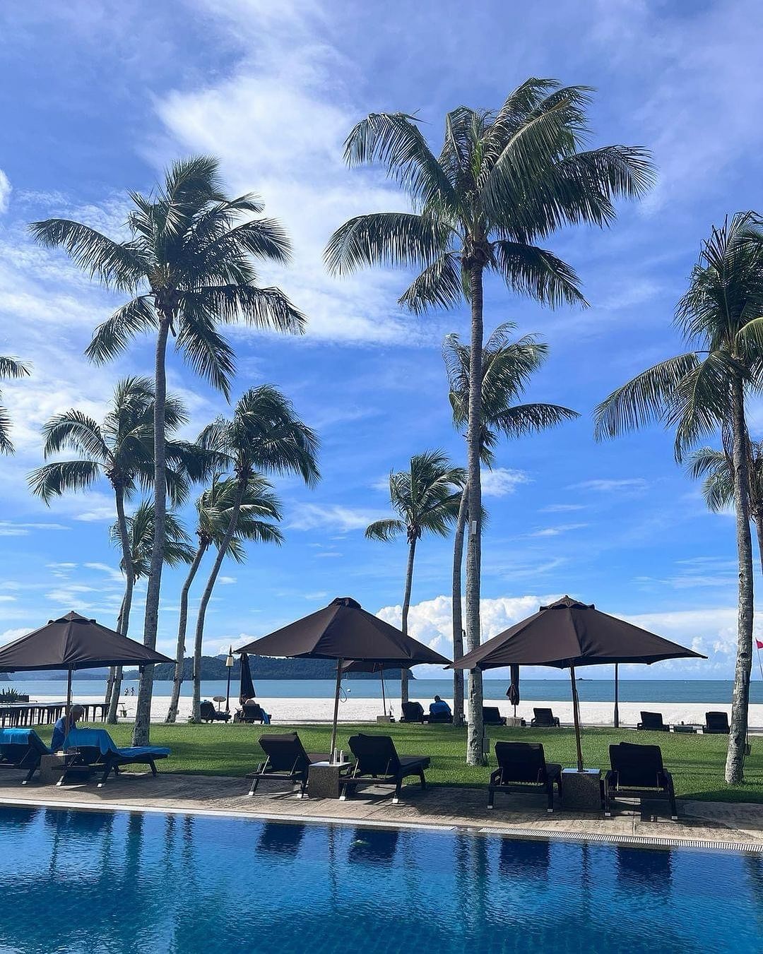 Poolside at Casa del Mar Langkawi with palm trees, sun loungers, and umbrellas overlooking the beach and sea.
