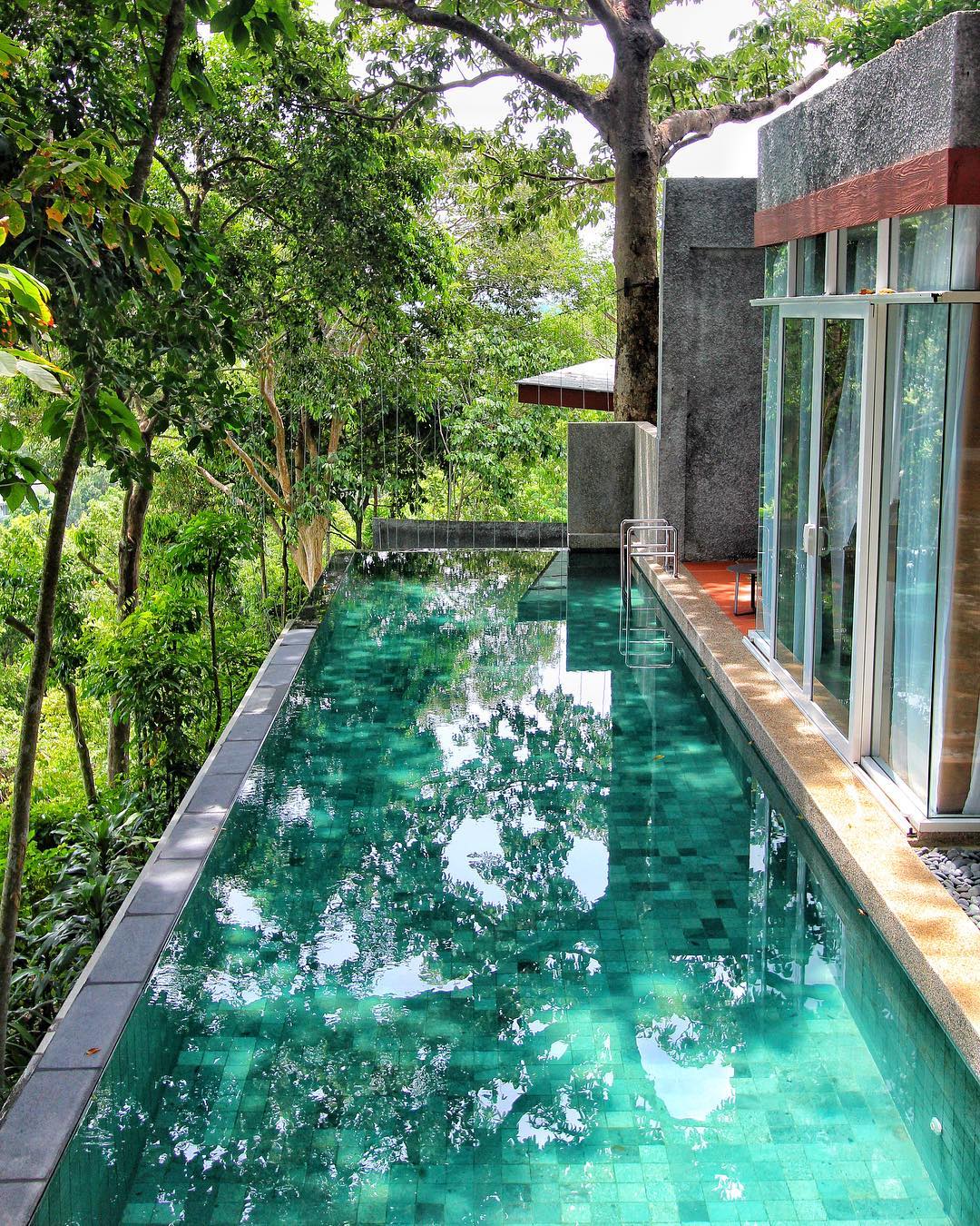 Private infinity pool at Ambong Ambong Langkawi surrounded by lush rainforest and modern villa architecture.