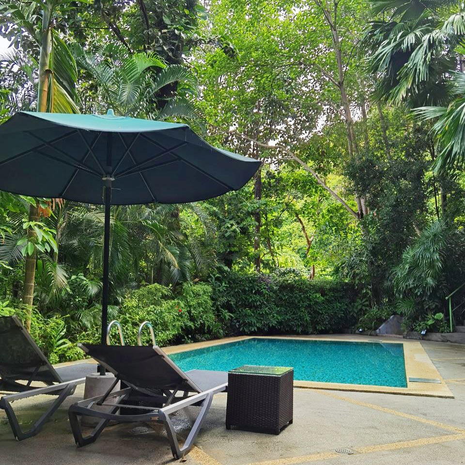Private pool surrounded by dense rainforest at Ambong Ambong Rainforest Retreat, with lounge chairs and a large umbrella in a tranquil tropical setting.