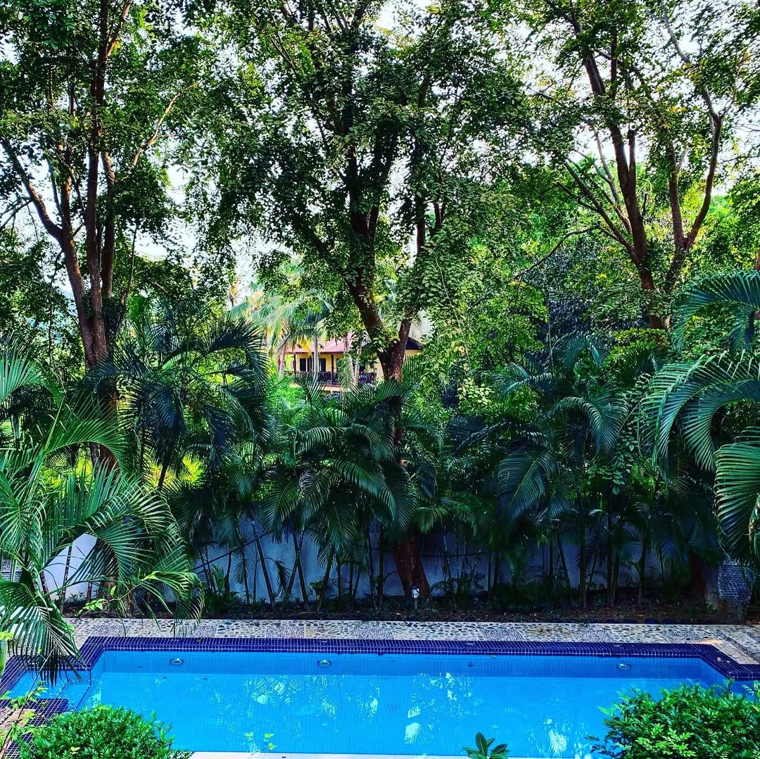 Private-Pool-at-Villa-Molek-Boutique-Langkawi