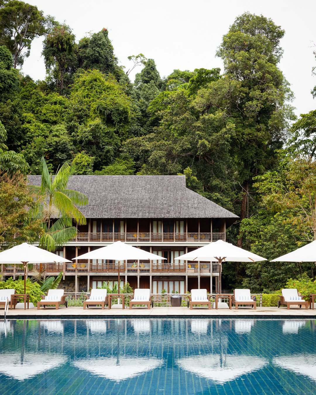Poolside view at The Datai Langkawi with lounge chairs and umbrellas, set against a traditional villa nestled within dense tropical rainforest.