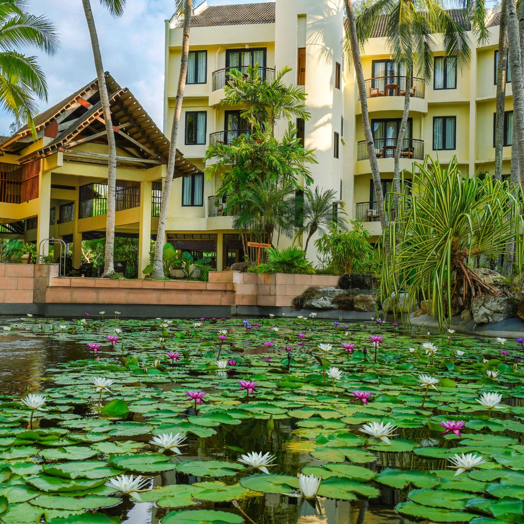 Tanjung Rhu Resort Langkawi featuring elegant tropical resort buildings overlooking a tranquil lotus pond filled with blooming water lilies, surrounded by lush palm trees and landscaped gardens.