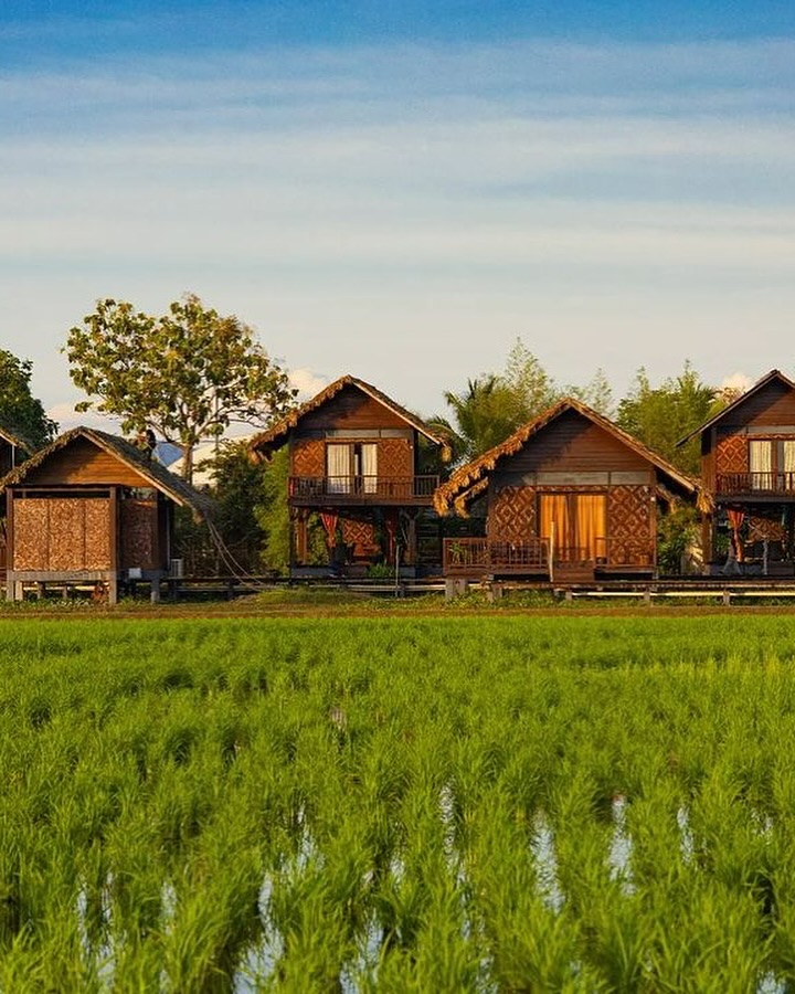 The Gemalai Village Langkawi featuring traditional Malay-style wooden chalets overlooking lush green rice paddies, surrounded by tropical trees and a peaceful countryside setting at sunset.