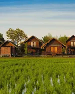 The Gemalai Village Langkawi featuring traditional Malay-style wooden chalets overlooking lush green rice paddies, surrounded by tropical trees and a peaceful countryside setting at sunset.