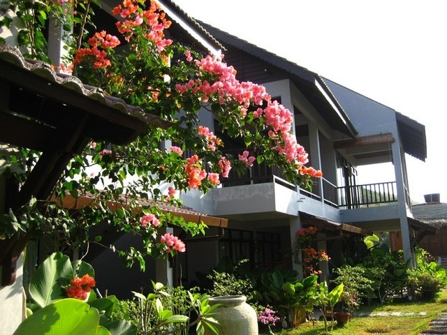 Villa Molek Langkawi featuring a charming boutique resort with tropical gardens, elegant low-rise villas, colorful flowering bougainvillea, and a peaceful atmosphere just minutes from Pantai Tengah.